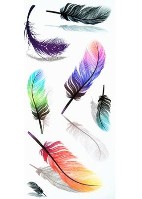 Временная татуировка разноцветные перья - 5659034 - SvitStyle