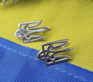 Сережки герб Украины Maxi Silver 9161 - SvitStyle