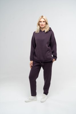 Костюм спортивний жіночий утеплений худі та штани-джоггери темно-фіолетового кольору, S - 8590744 - SvitStyle
