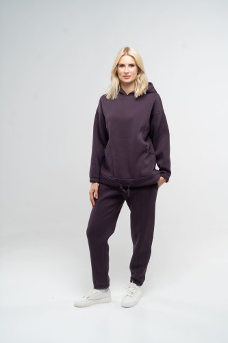 Костюм спортивний жіночий утеплений худі та штани-джоггери темно-фіолетового кольору, S - SvitStyle