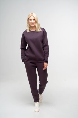 Костюм жіночий утеплений темно-фіолетовий світшот та штани, S - 8590811 - SvitStyle