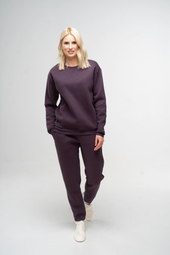 Костюм жіночий утеплений темно-фіолетовий світшот та штани, S - SvitStyle