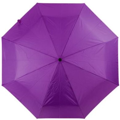 Зонт женский механический HAPPY RAIN U42651-9 - SvitStyle
