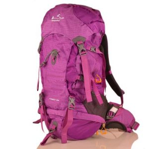 Женский рюкзак туриста ONEPOLAR (ВАНПОЛАР) W1632-violet - 8213337 - SvitStyle