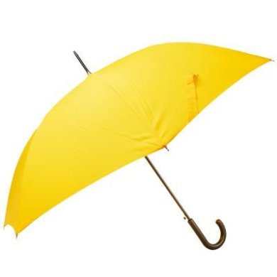 Зонт-трость женский полуавтомат HAPPY RAIN U00108 - SvitStyle