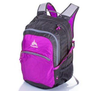 Женский рюкзак с отделением для ноутбука ONEPOLAR  W1990-purple - 8504066 - SvitStyle